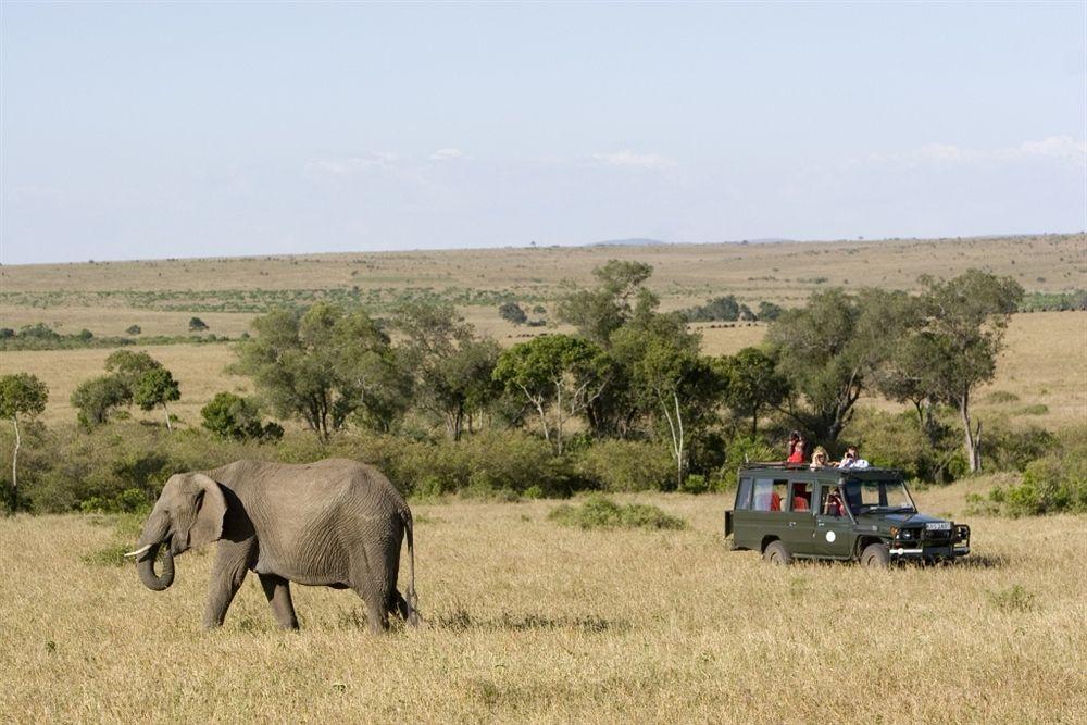 Rekero Camp Hotel Mara Simba Exterior photo